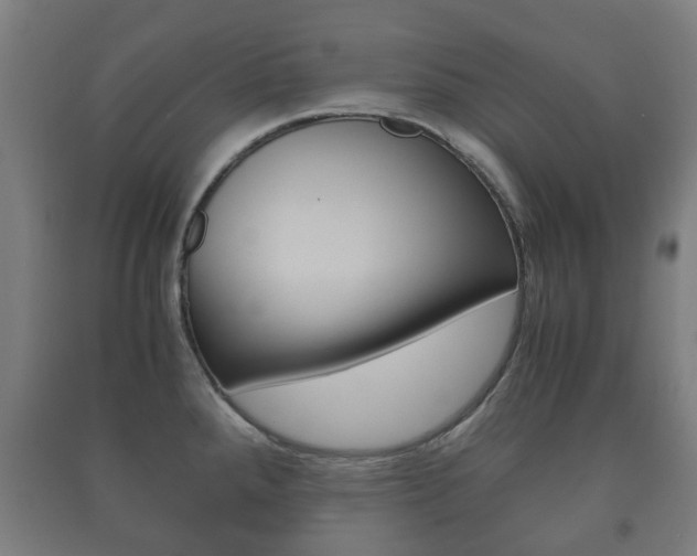 X0000091451288200708161039