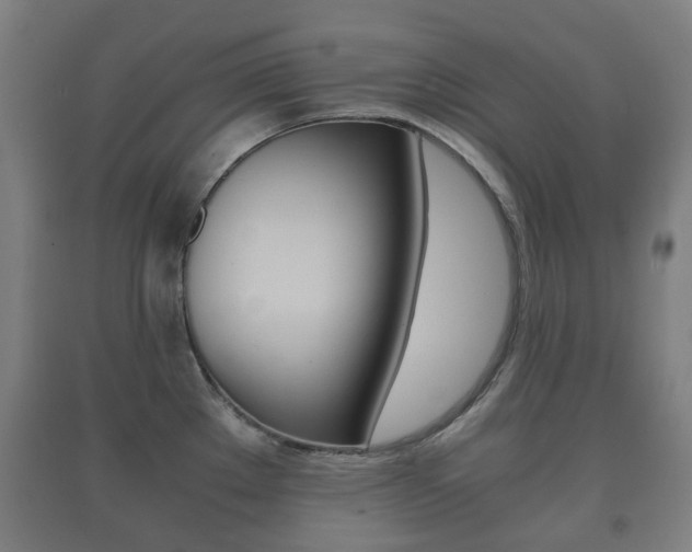 X0000091451289200708161039