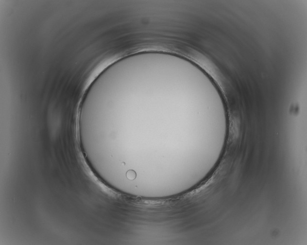 X0000091451290200708161039