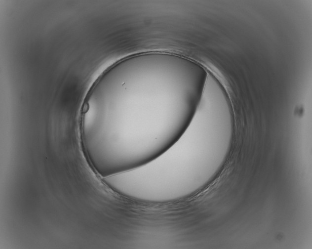 X0000091451291200708161039