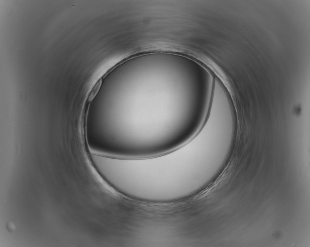 X0000091451293200708161039