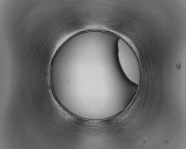 X0000091451295200708161039