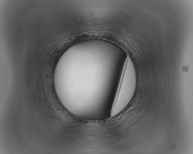 X0000091451297200708161038