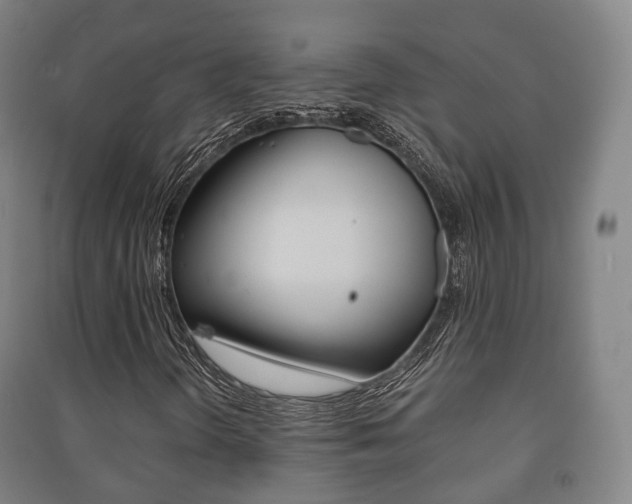X0000091451298200708161038