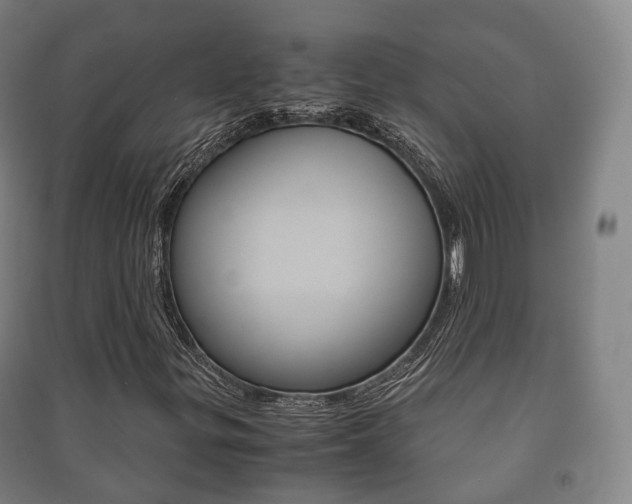 X0000091451299200708161038