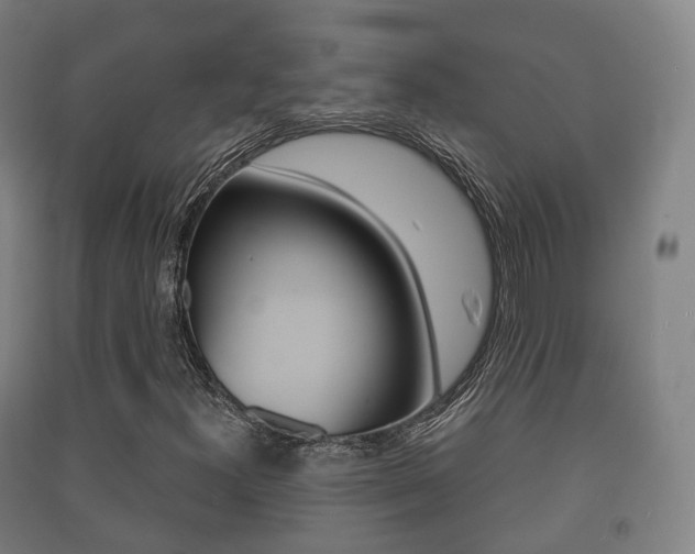 X0000091451300200708161038