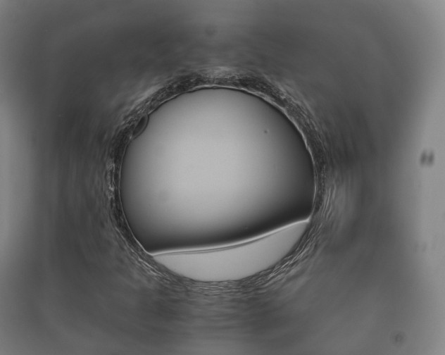 X0000091451301200708161038