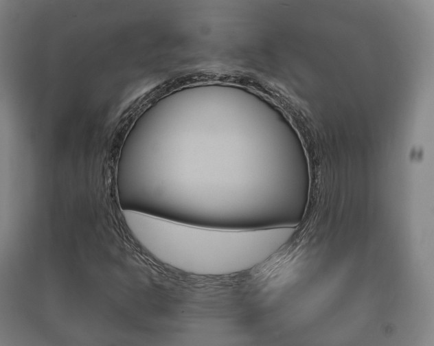 X0000091451302200708161039