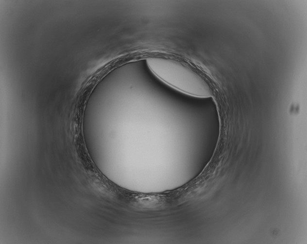 X0000091451303200708161039