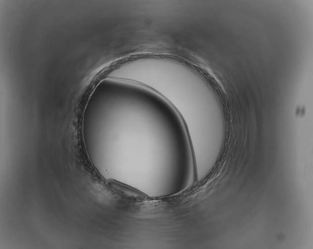 X0000091451304200708161039