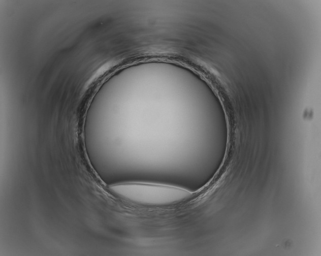 X0000091451306200708161039