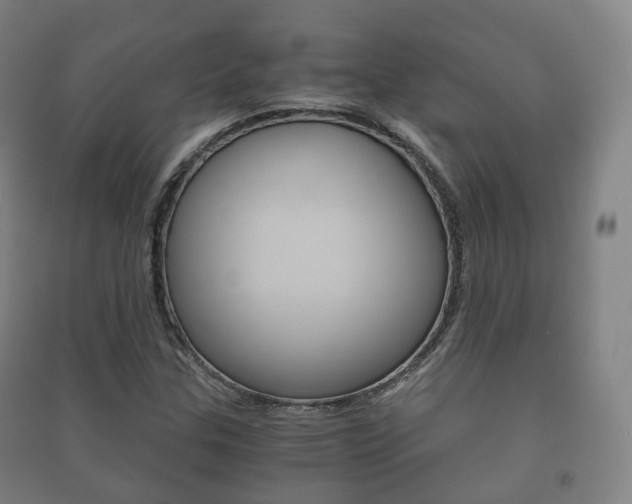 X0000091451307200708161039