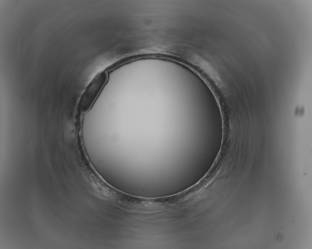 X0000091451308200708161039