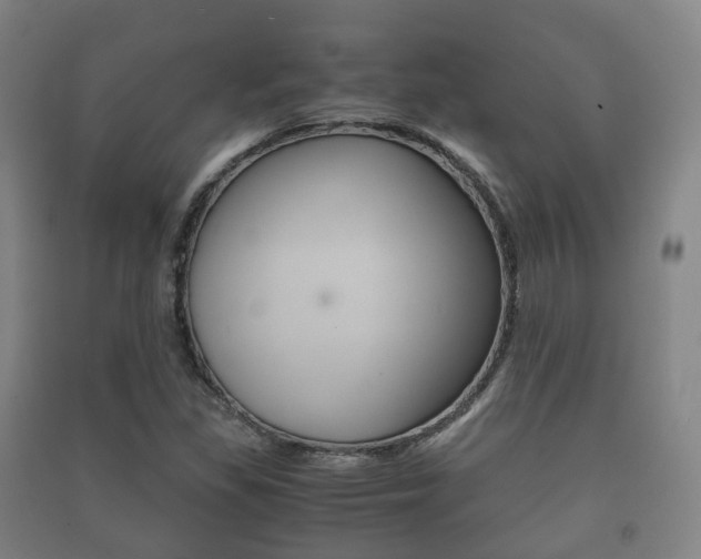 X0000091451309200708161039