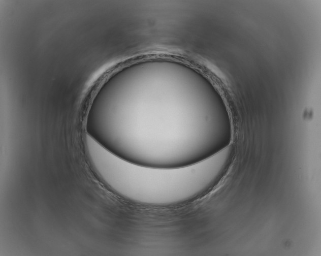X0000091451310200708161039