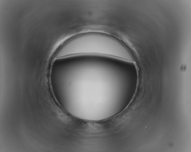 X0000091451312200708161039