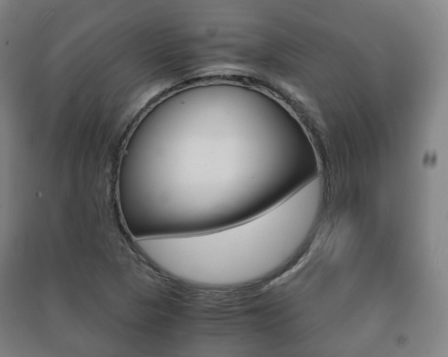 X0000091451313200708161039