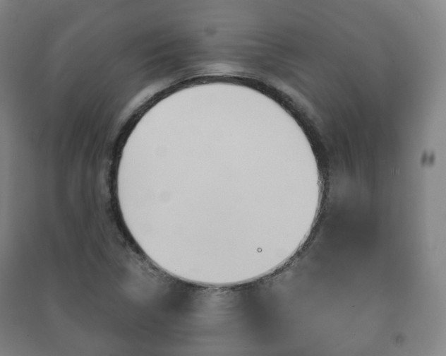 X0000091451314200708161039