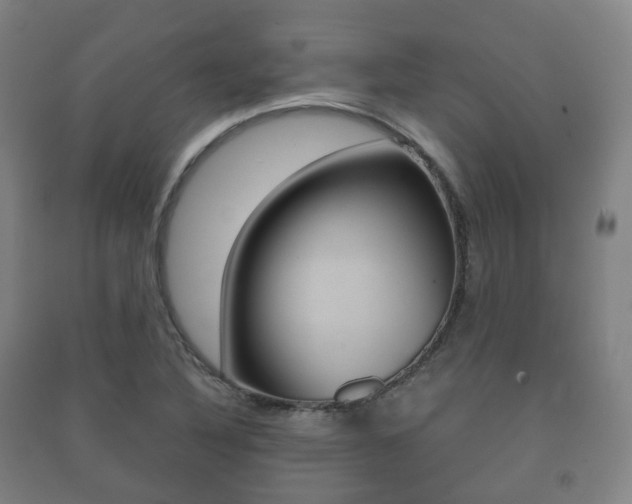 X0000091451316200708161039