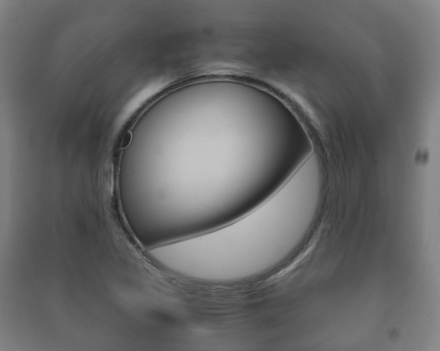 X0000091451317200708161039