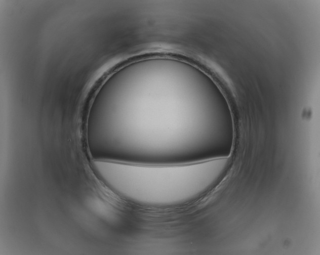 X0000091451318200708161039