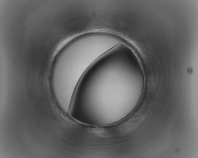 X0000091451319200708161039