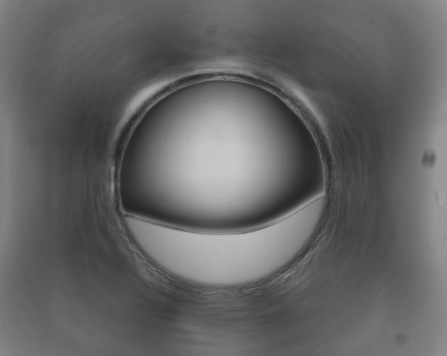 X0000091451320200708161039