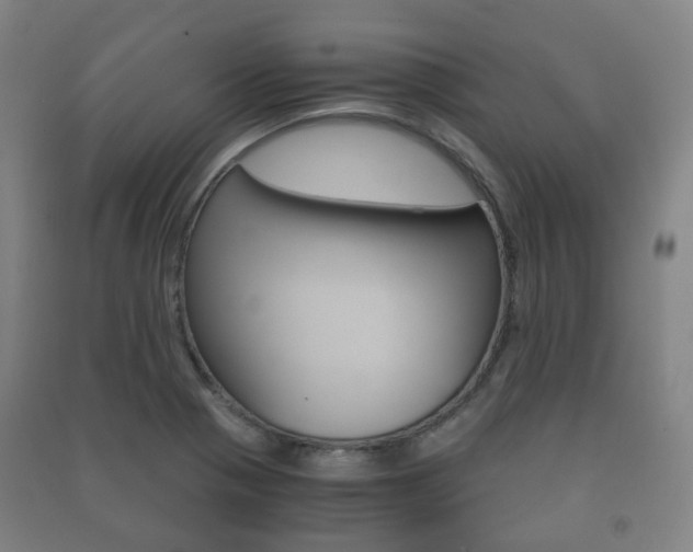 X0000091451321200708161039