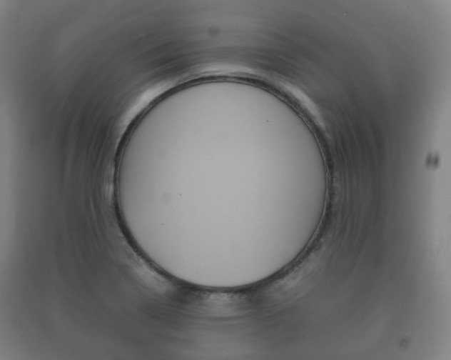 X0000091451322200708161039