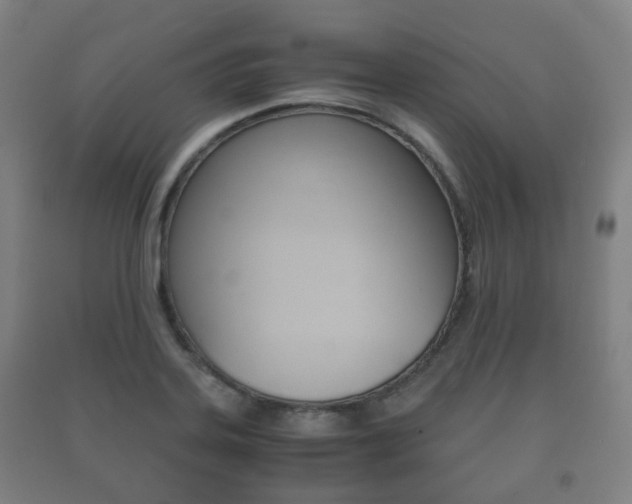 X0000091451323200708161039