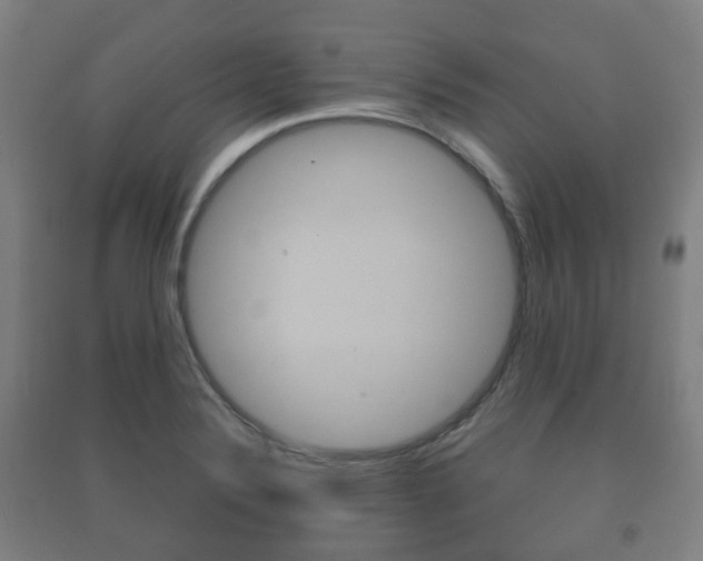 X0000091451324200708161039