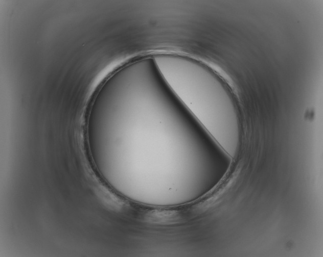 X0000091451325200708161039