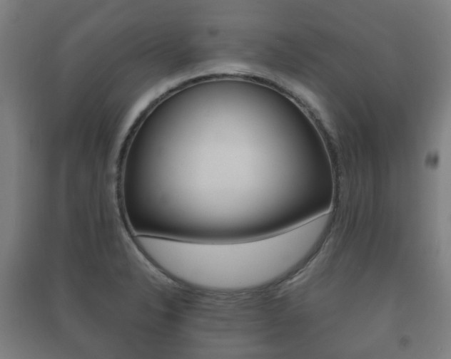 X0000091451326200708161039