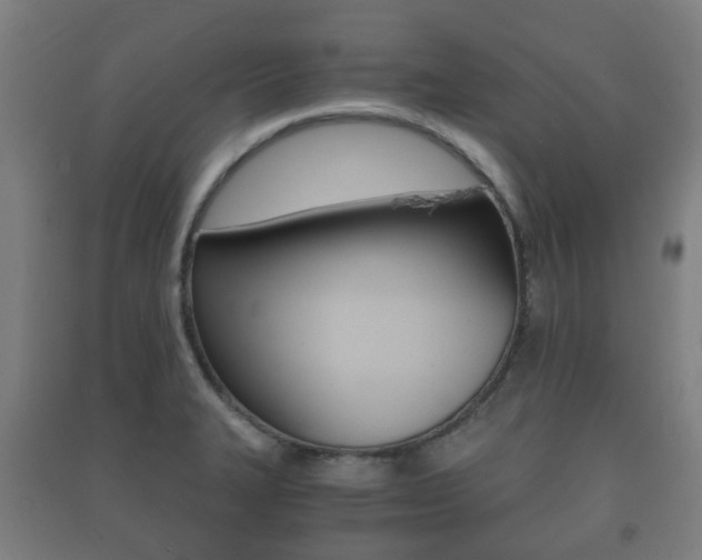 X0000091451327200708161039