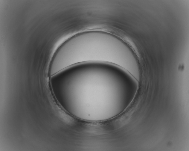 X0000091451328200708161039