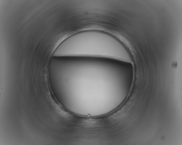X0000091451329200708161039