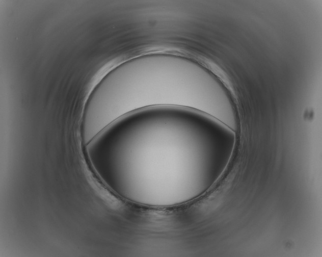 X0000091451330200708161039