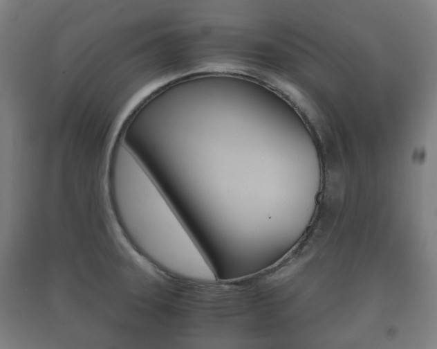 X0000091451331200708161039