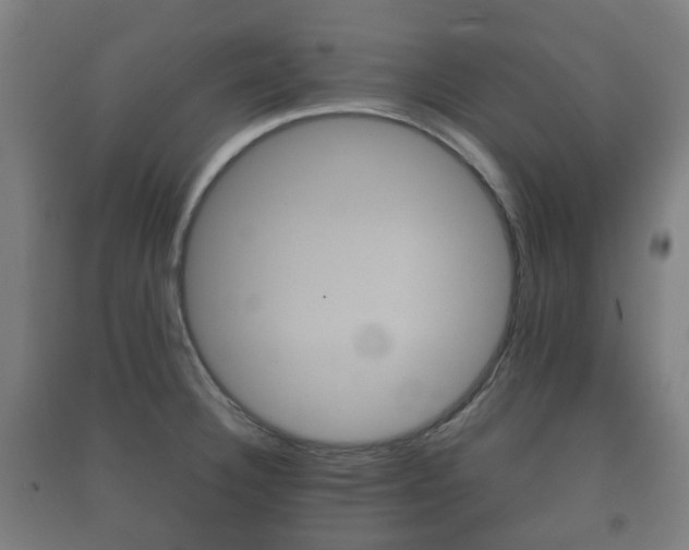 X0000091451332200708161039