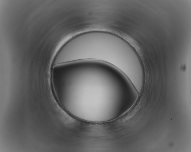 X0000091451334200708161039