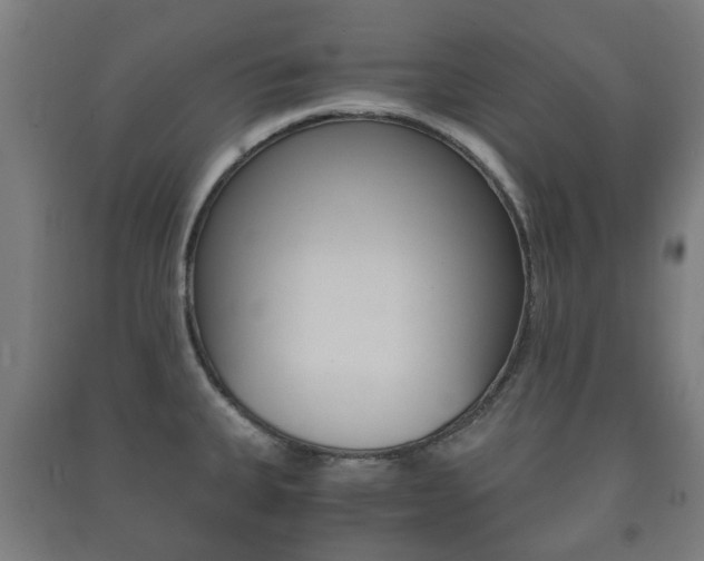 X0000091451335200708161039