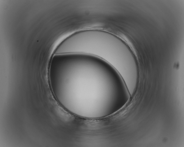 X0000091451336200708161039