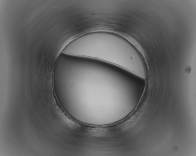 X0000091451337200708161039