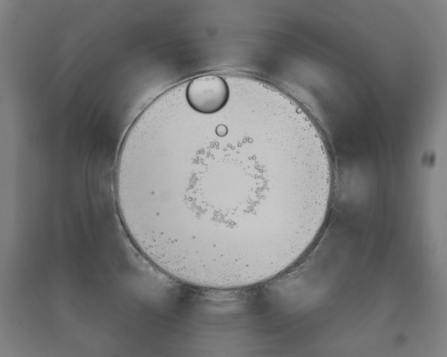 X0000091451338200708161039