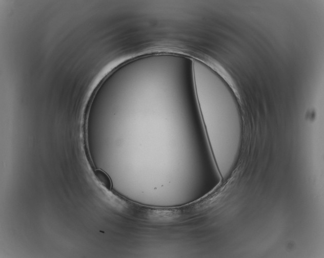 X0000091451339200708161039