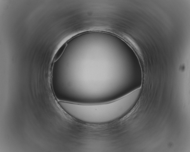 X0000091451340200708161039
