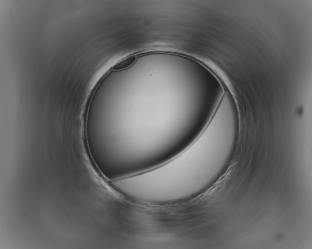 X0000091451341200708161039