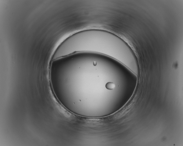 X0000091451342200708161039