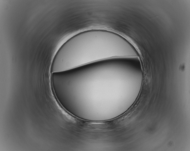 X0000091451343200708161039