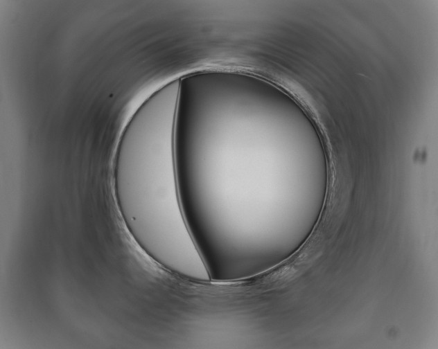 X0000091451344200708161039
